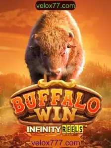 Explorando o Mundo de BuffaloWin no Velox77.com