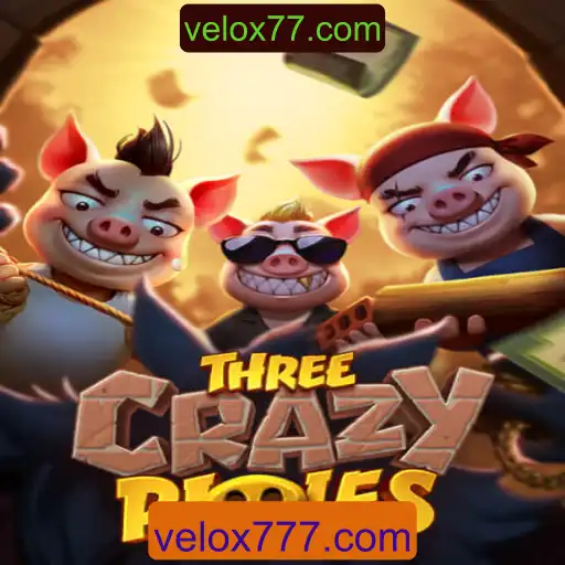 ThreeCrazyPiggies: Um Jogo de Estratégia Empolgante Disponível em velox77.com